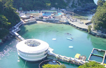 下田海中水族館